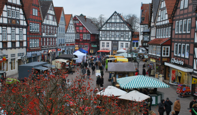 Brennholzmarkt Rinteln 03
