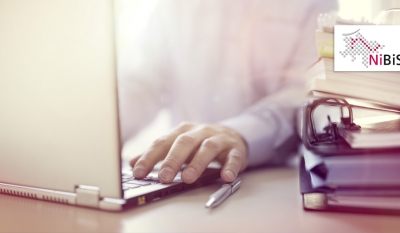portal nibis